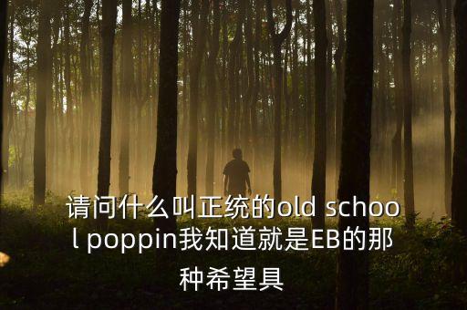 請(qǐng)問什么叫正統(tǒng)的old school poppin我知道就是EB的那種希望具