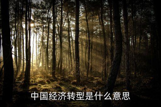 中國經(jīng)濟轉型是什么意思