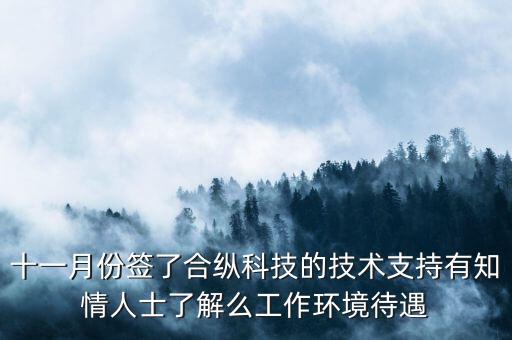 十一月份簽了合縱科技的技術(shù)支持有知情人士了解么工作環(huán)境待遇