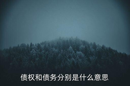 債權和債務分別是什么意思