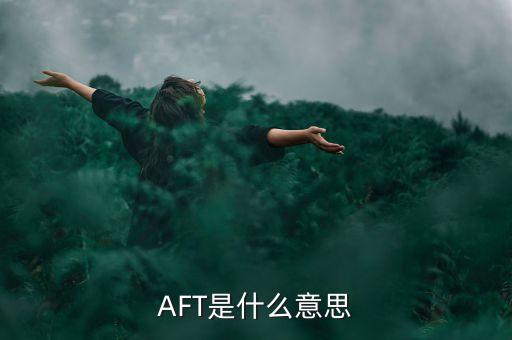 AFT是什么意思