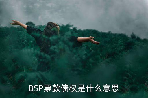 BSP票款債權是什么意思