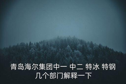 青島海爾集團中一 中二 特冰 特鋼 幾個部門解釋一下