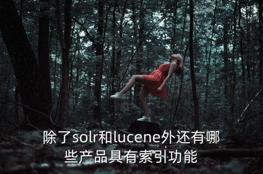 除了solr和lucene外還有哪些產(chǎn)品具有索引功能