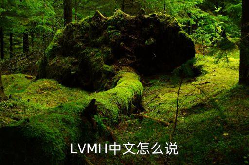 LVMH和LV是什么關系啊，LVMH是全球五百強嗎