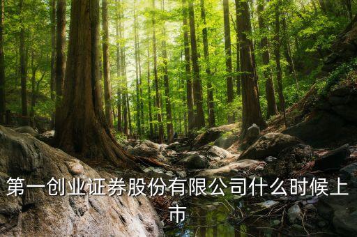 第一創(chuàng)業(yè)證券股份有限公司什么時候上市