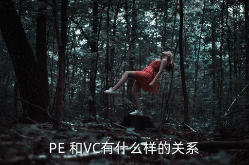 PE 和VC有什么樣的關(guān)系