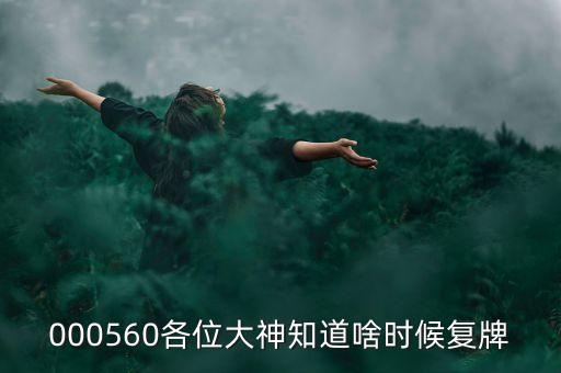 精功科技什么時候復(fù)牌，000560各位大神知道啥時候復(fù)牌