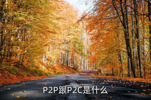 p2c平臺(tái)是什么，什么是P2P什么是P2C