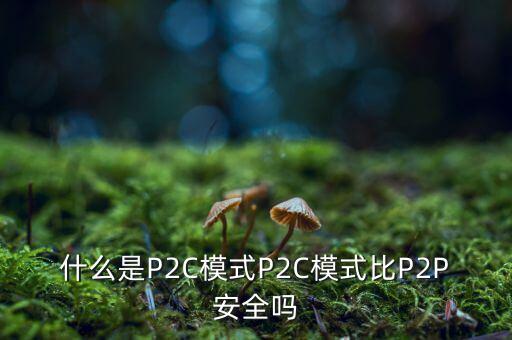 什么是P2C模式P2C模式比P2P安全嗎