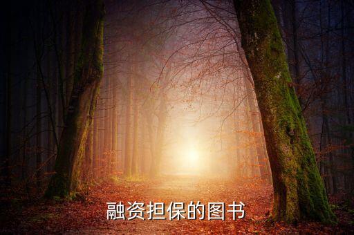 融資擔(dān)保的圖書