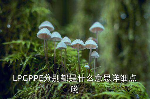 LPGPPE分別都是什么意思詳細點喲