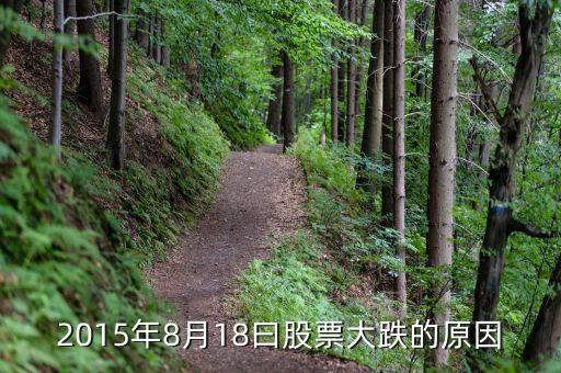 2015年8月18曰股票大跌的原因