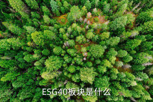 股票入選esg40是什么意思，ESG40板塊是什么