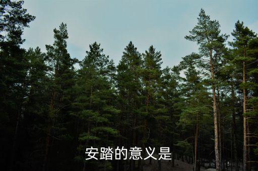 私募應(yīng)安踏在世界上有什么地位，私募在社會(huì)各界人士心目中的地位如何