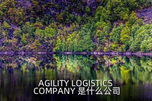 AGILITY LOGISTICS COMPANY 是什么公司