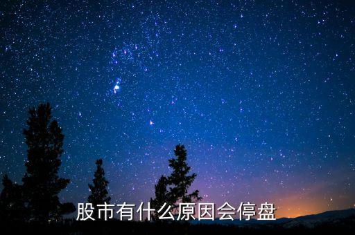 002203為什么停盤，股市有什么原因會停盤