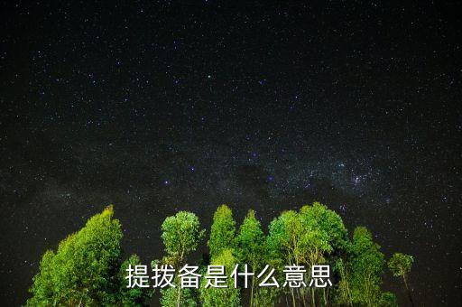 什么叫撥備，提撥備是什么意思