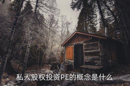 pe投資是什么，pe投資是什么意思