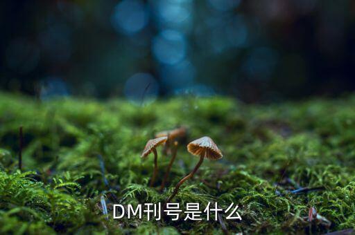 期權(quán)里的dm是什么，DM刊號是什么