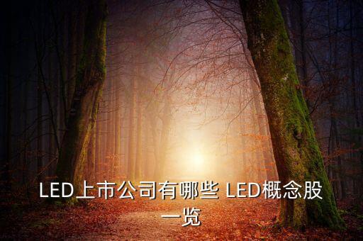 上市公司鴻什么視訊，視訊行業(yè)有哪些公司