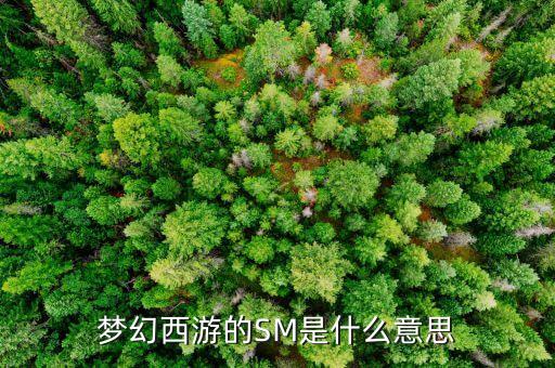 石煤是什么東西，石煤的發(fā)熱量有沒有超過5000卡