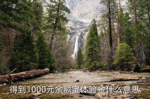 1000余額寶體驗(yàn)金是什么，得到1000元余額寶體驗(yàn)金什么意思