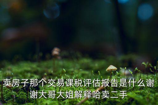 交易課稅是什么意思，名詞解釋證券交易稅