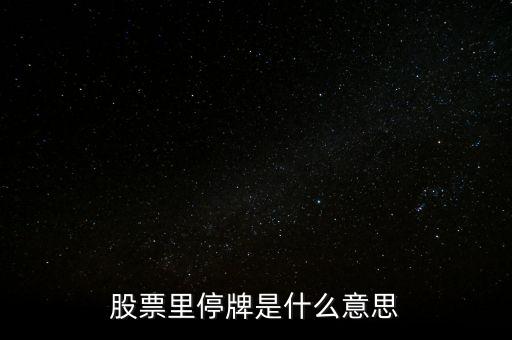 股票里停牌是什么意思