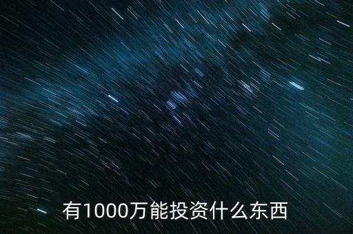 1000萬(wàn)投資什么好，有1000萬(wàn)能投資什么東西