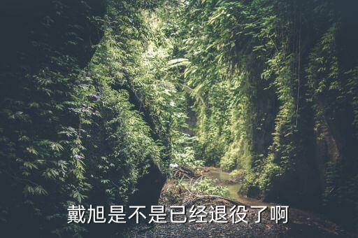 戴旭是不是已經(jīng)退役了啊