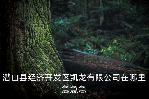 潛山縣經濟開發(fā)區(qū)凱龍有限公司在哪里急急急