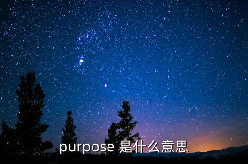 purpose 是什么意思