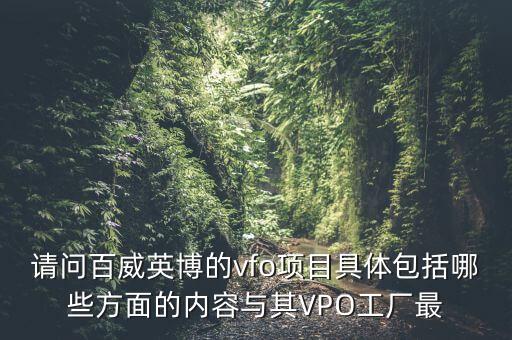 請(qǐng)問(wèn)百威英博的vfo項(xiàng)目具體包括哪些方面的內(nèi)容與其VPO工廠最