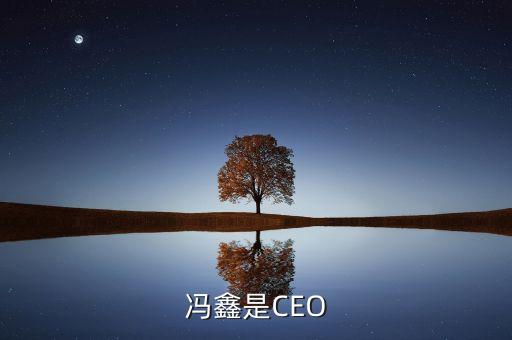 馮鑫是CEO