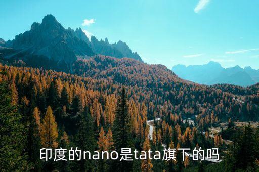 印度的nano是tata旗下的嗎