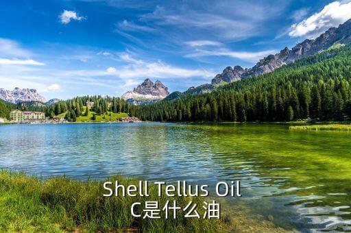 Shell Tellus Oil C是什么油