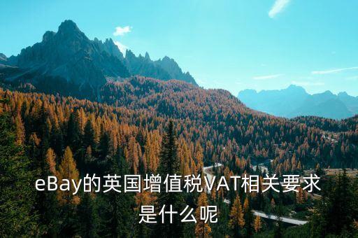 eBay的英國(guó)增值稅VAT相關(guān)要求是什么呢