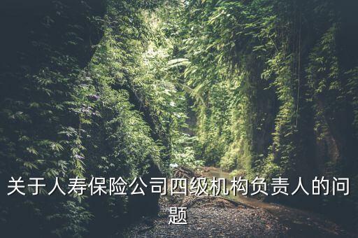 關(guān)于人壽保險(xiǎn)公司四級(jí)機(jī)構(gòu)負(fù)責(zé)人的問題