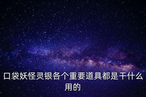 口袋妖怪靈銀各個重要道具都是干什么用的