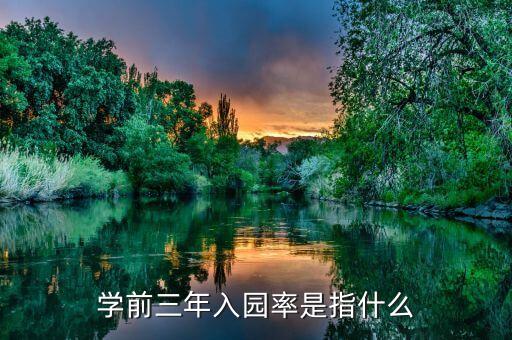 什么是學前三年毛入園率，學前一年幼兒毛入園率指什么