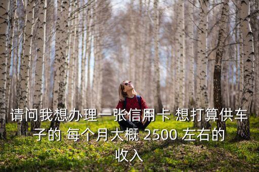 請問我想辦理一張信用卡 想打算供車子的 每個月大概 2500 左右的收入