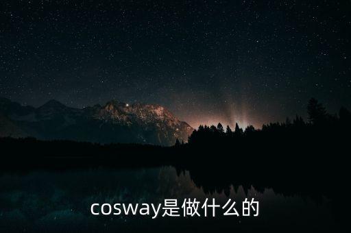 普路通是做什么的，cosway是做什么的