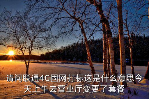 請問聯(lián)通4G固網(wǎng)打標(biāo)這是什么意思今天上午去營業(yè)廳變更了套餐