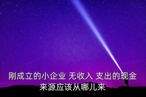 剛成立的小企業(yè) 無收入 支出的現(xiàn)金來源應(yīng)該從哪兒來