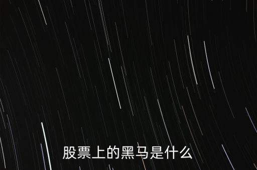 股票黑馬什么意思，股市上的黑馬是什么意思