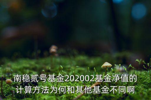 南穩(wěn)二號(hào)為什么要分紅，南穩(wěn)貳號(hào)基金202002基金凈值的計(jì)算方法為何和其他基金不同啊