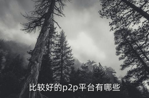 什么p2p平臺比較靠譜，請問國內(nèi)P2P平臺哪家比較安全可靠點想了解下