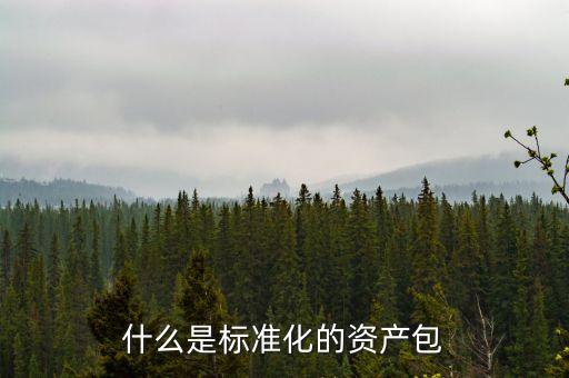 什么屬于標(biāo)準(zhǔn)化資產(chǎn)，標(biāo)準(zhǔn)化資產(chǎn) 什么是標(biāo)準(zhǔn)化資產(chǎn)