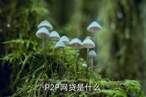 P2P網(wǎng)貸是什么